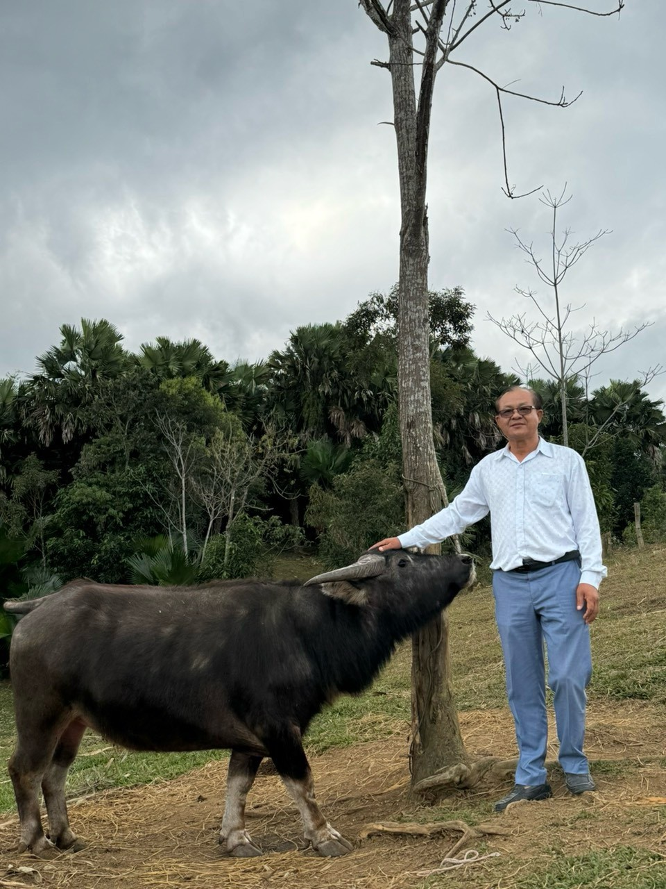 Ông chủ mới của “chiếc” sửu hiền khô luôn ấy !