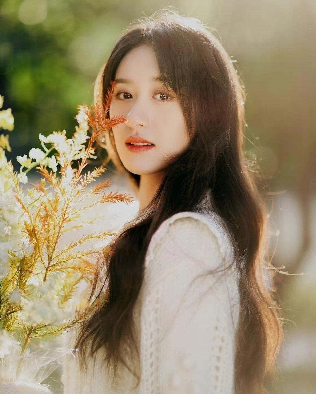 Viên Băng Nghiên phạm tội trốn thuế, chính thức bị cấm sóng.