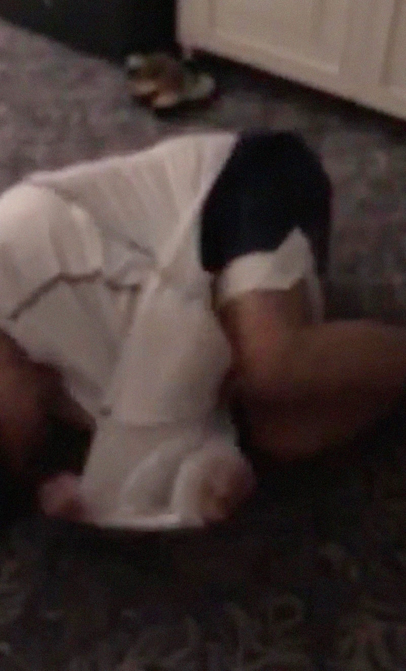 Trương Hằng khóc lóc trước Trịnh Sảng. Trương Hằng khóc lóc trước Trịnh Sảng.