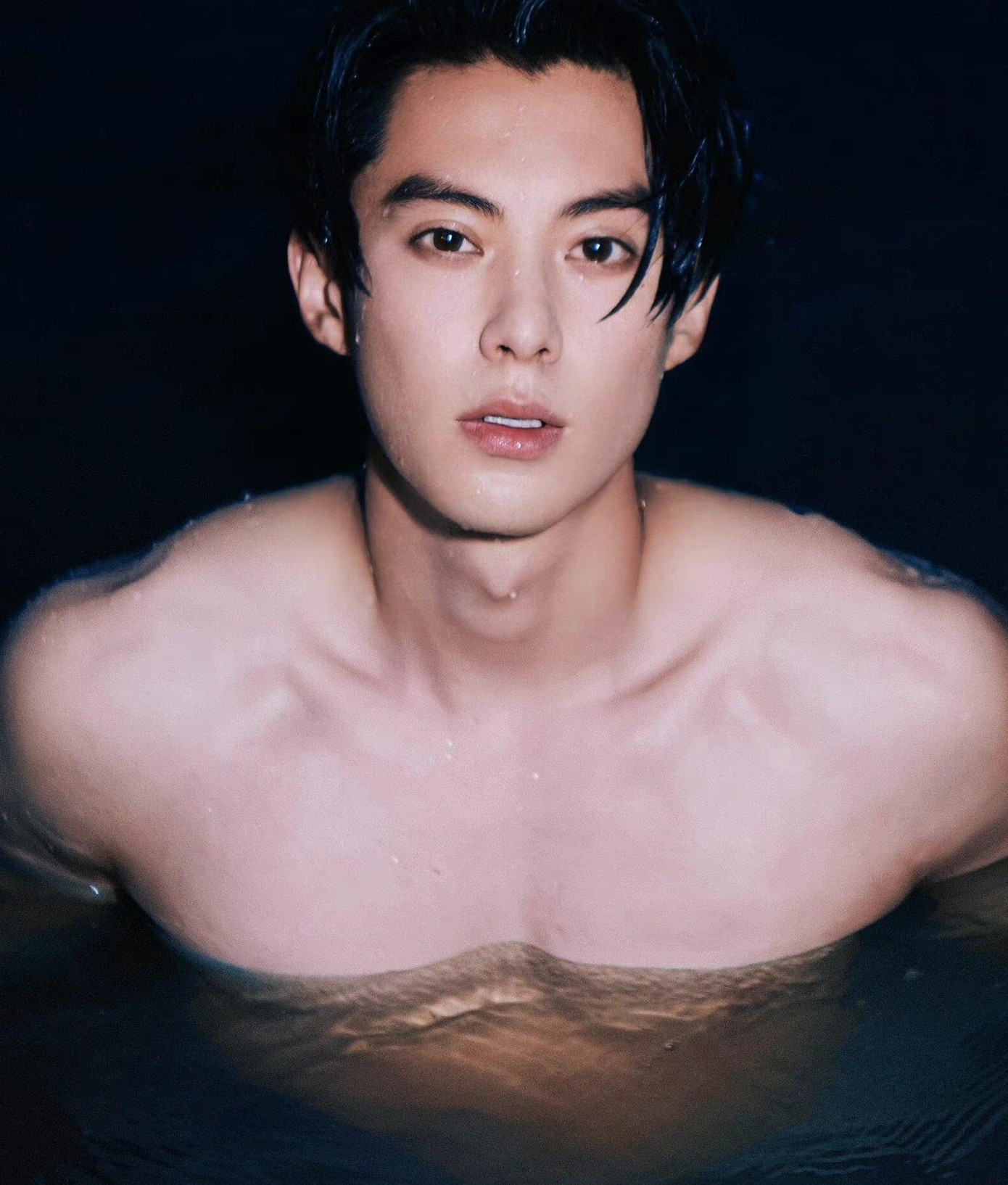 Ngô Lỗi và Vương Hạc Đệ đứng đầu nhóm tài tử sinh sau năm 1995 ở mảng phim truyền hình. Ngô Lỗi và Vương Hạc Đệ đứng đầu nhóm tài tử sinh sau năm 1995 ở mảng phim truyền hình.