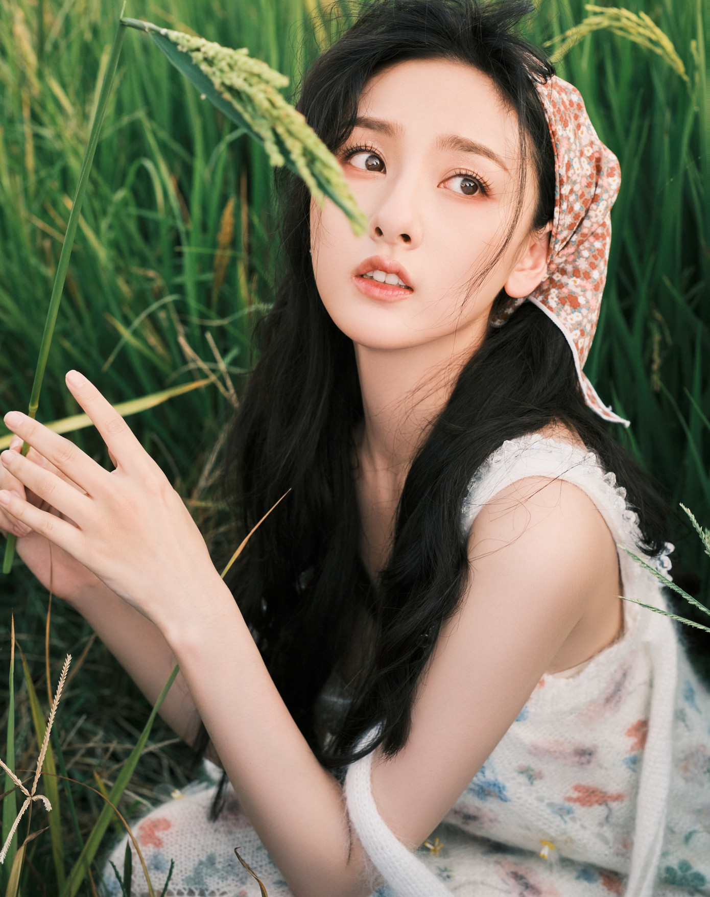 Người hâm mộ lo lắng sự nghiệp của Tống Tổ Nhi sẽ ''bay màu'' nếu liên quan tới trốn thuế.