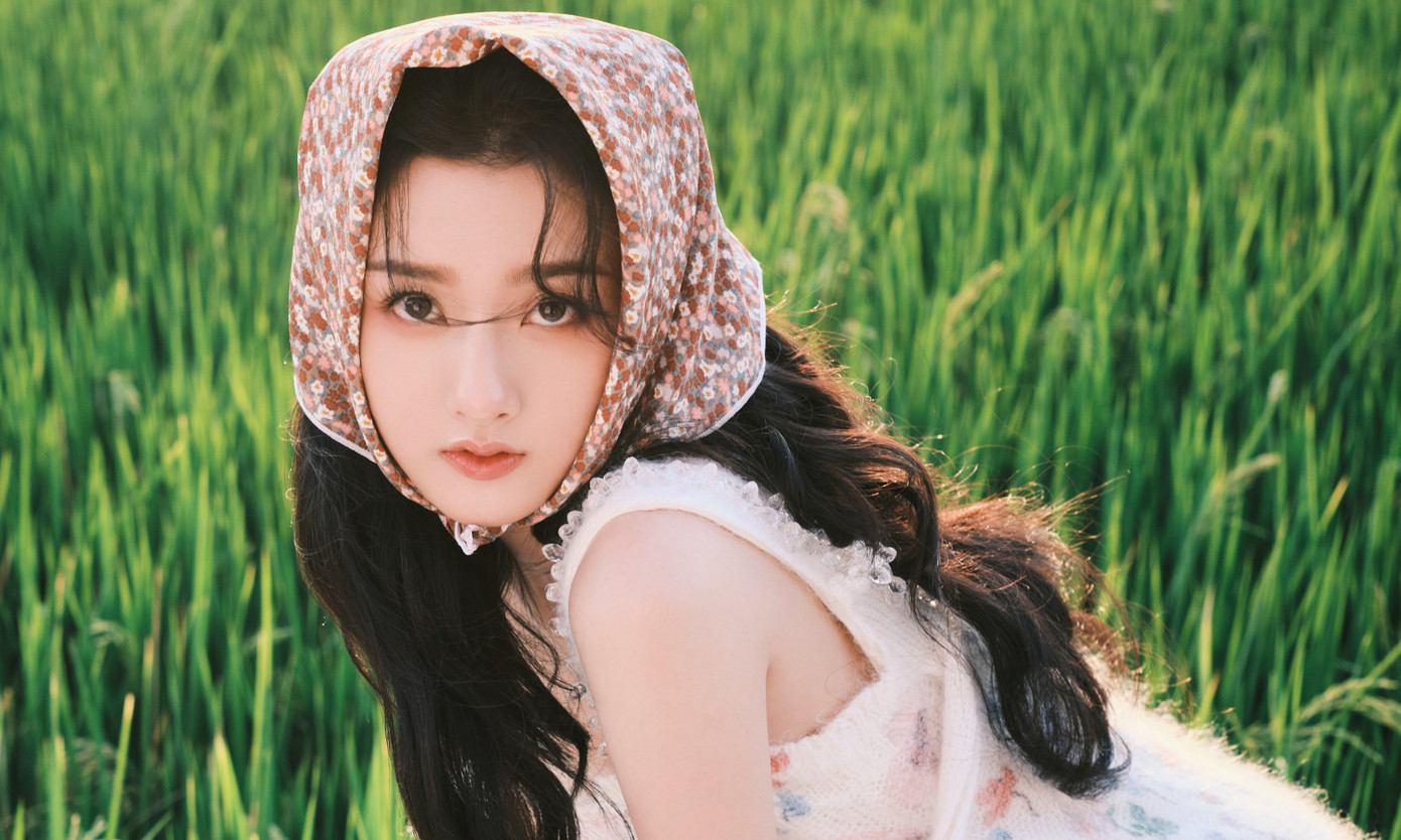 Theo Sohu, trốn thuế là hành vi vi phạm pháp luật, lời tuyên bố tử hình với sự nghiệp của diễn viên.