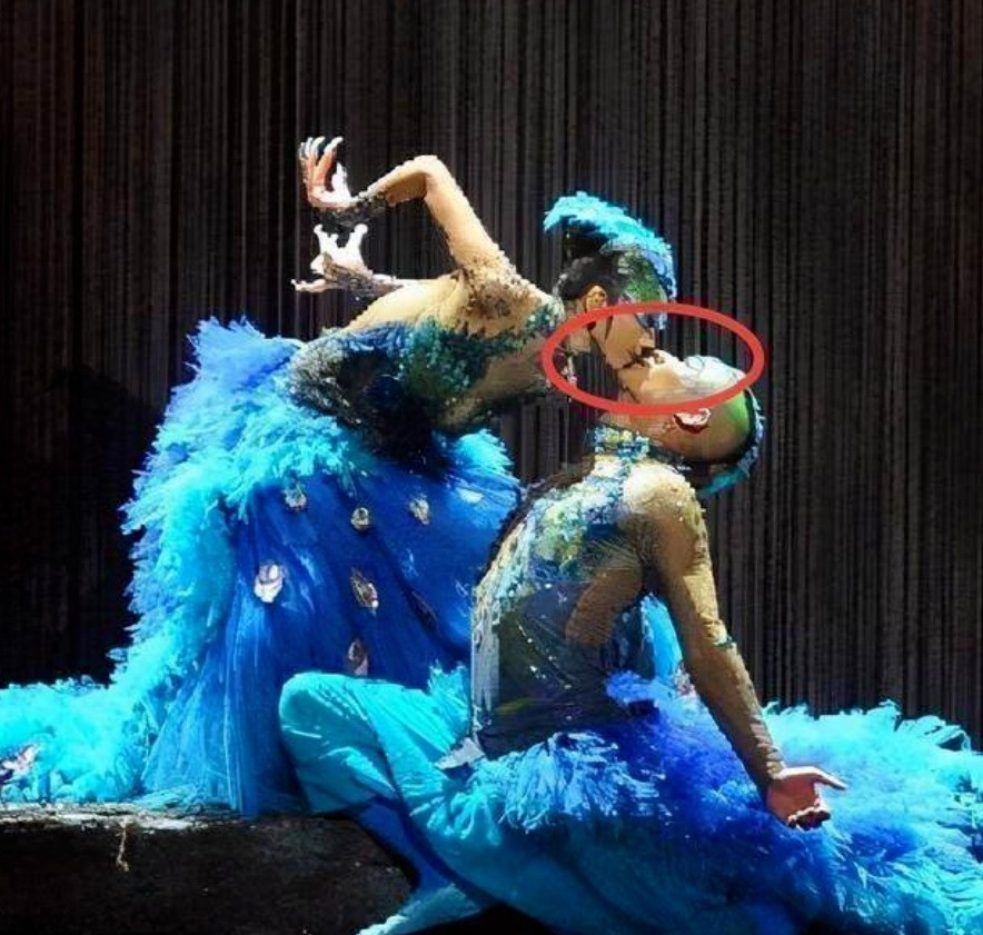 Điệu múa do Dương Lệ Bình dàn dựng bị chỉ trích vì có nhiều động tác mơn trớn quá đà.