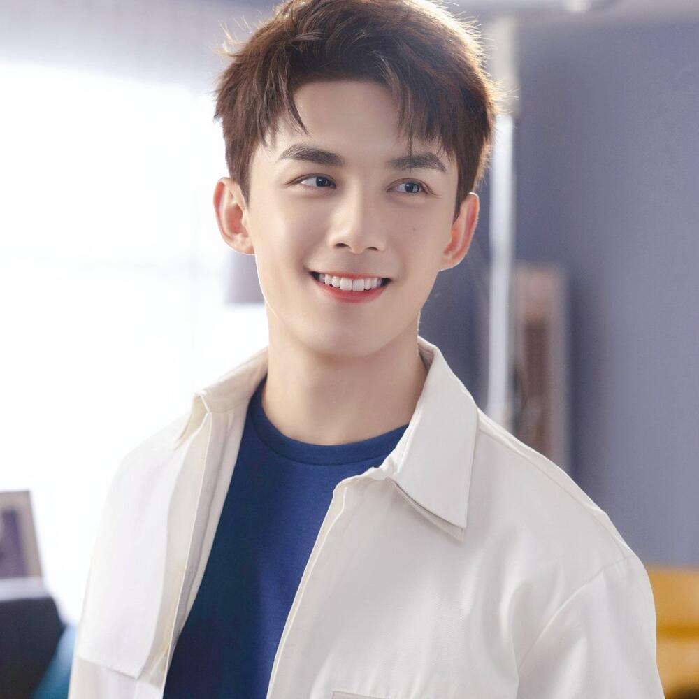 Ngô Lỗi và Vương Hạc Đệ đứng đầu nhóm tài tử sinh sau năm 1995 ở mảng phim truyền hình. Ngô Lỗi và Vương Hạc Đệ đứng đầu nhóm tài tử sinh sau năm 1995 ở mảng phim truyền hình.