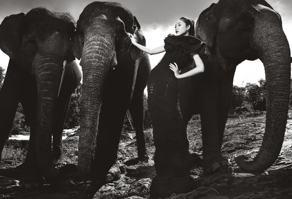 Trà My có bức ảnh đẹp nhất tuần qua