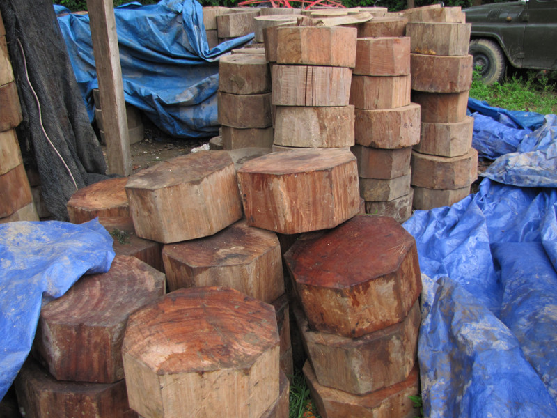 Gỗ nghiến bị lực lượng kiểm lâm Chợ Đồn thu giữ trước đó. Ảnh: Tuấn Nguyễn