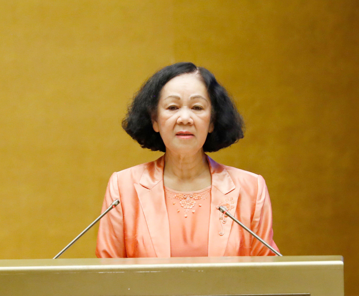 Thường trực Ban Bí thư Trương Thị Mai.