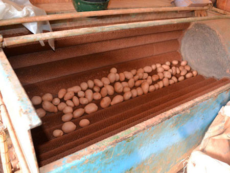 Nhuộm màu, tẩy tem: Hàng Trung Quốc thành đặc sản Đà Lạt ảnh 1