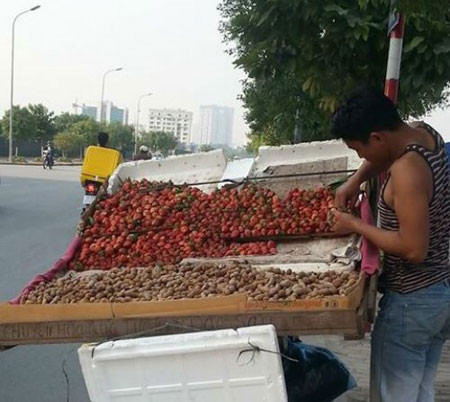 Nhuộm màu, tẩy tem: Hàng Trung Quốc thành đặc sản Đà Lạt ảnh 2