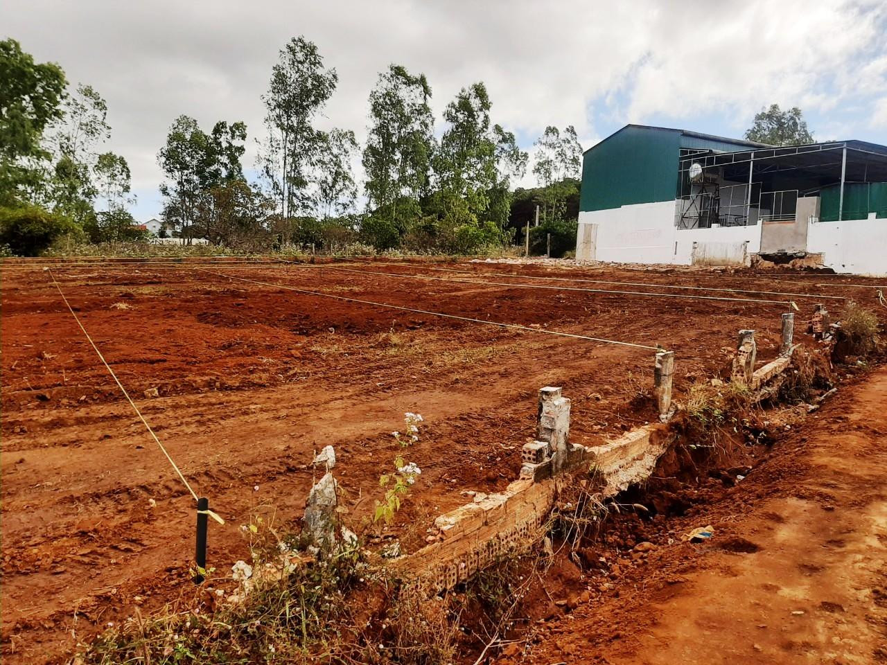 Đất nông nghiệp giăng dây chia lô, tách thửa để bán nền