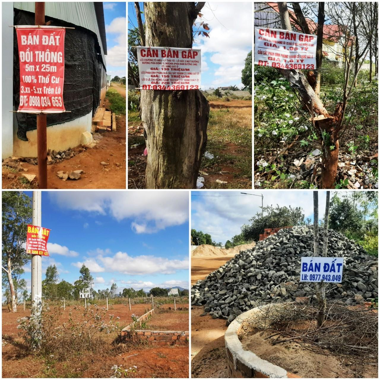 Các tấm biển rao bán đất ở đồi thông huyện Ia Grai mọc nhan nhản.