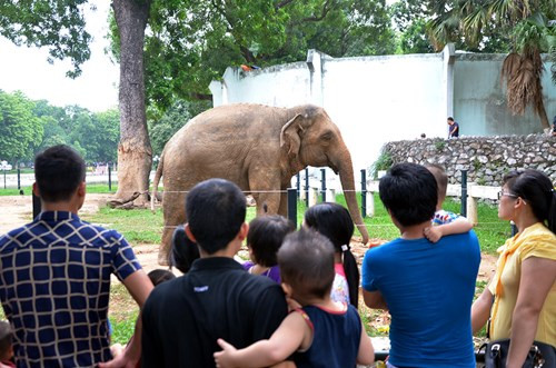 Pháo hoa rực sáng mừng Tết Độc lập ảnh 54