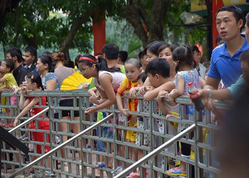 Pháo hoa rực sáng mừng Tết Độc lập ảnh 52