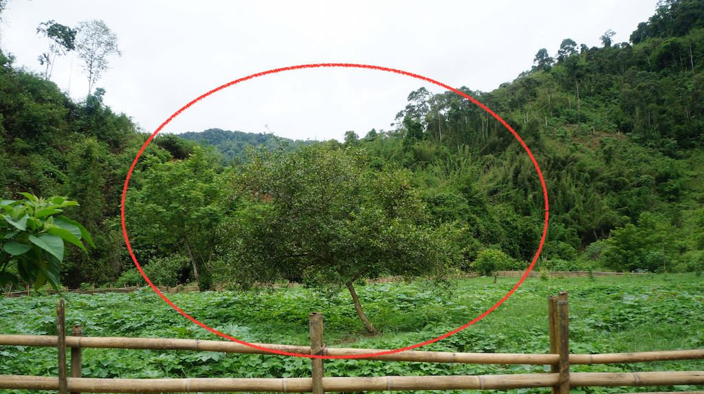 Kẻ gây vụ thảm sát rúng động Nghệ An lĩnh án tử ảnh 7