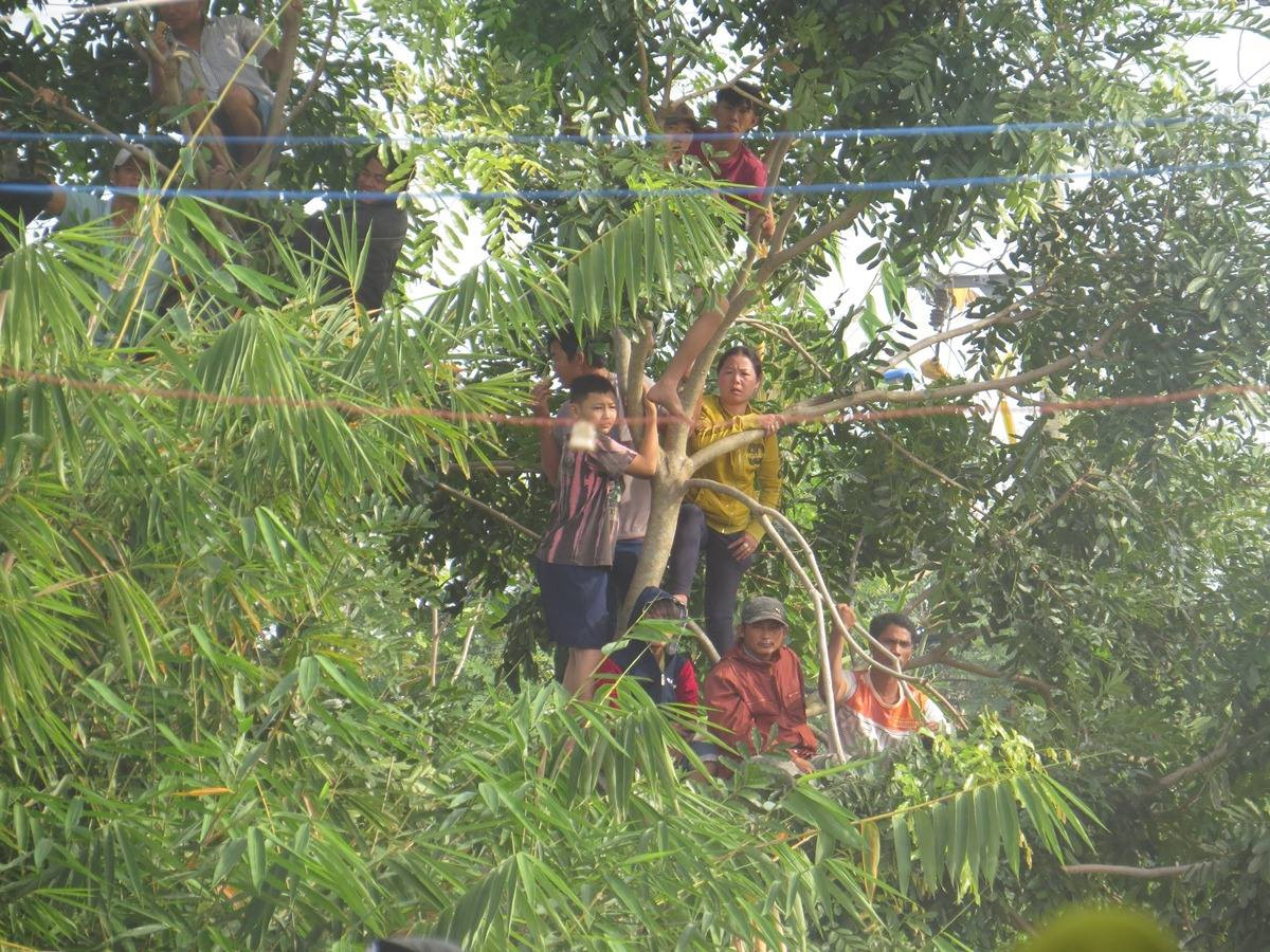 Tiếp tục xét xử vụ thảm án Bình Phước ảnh 17