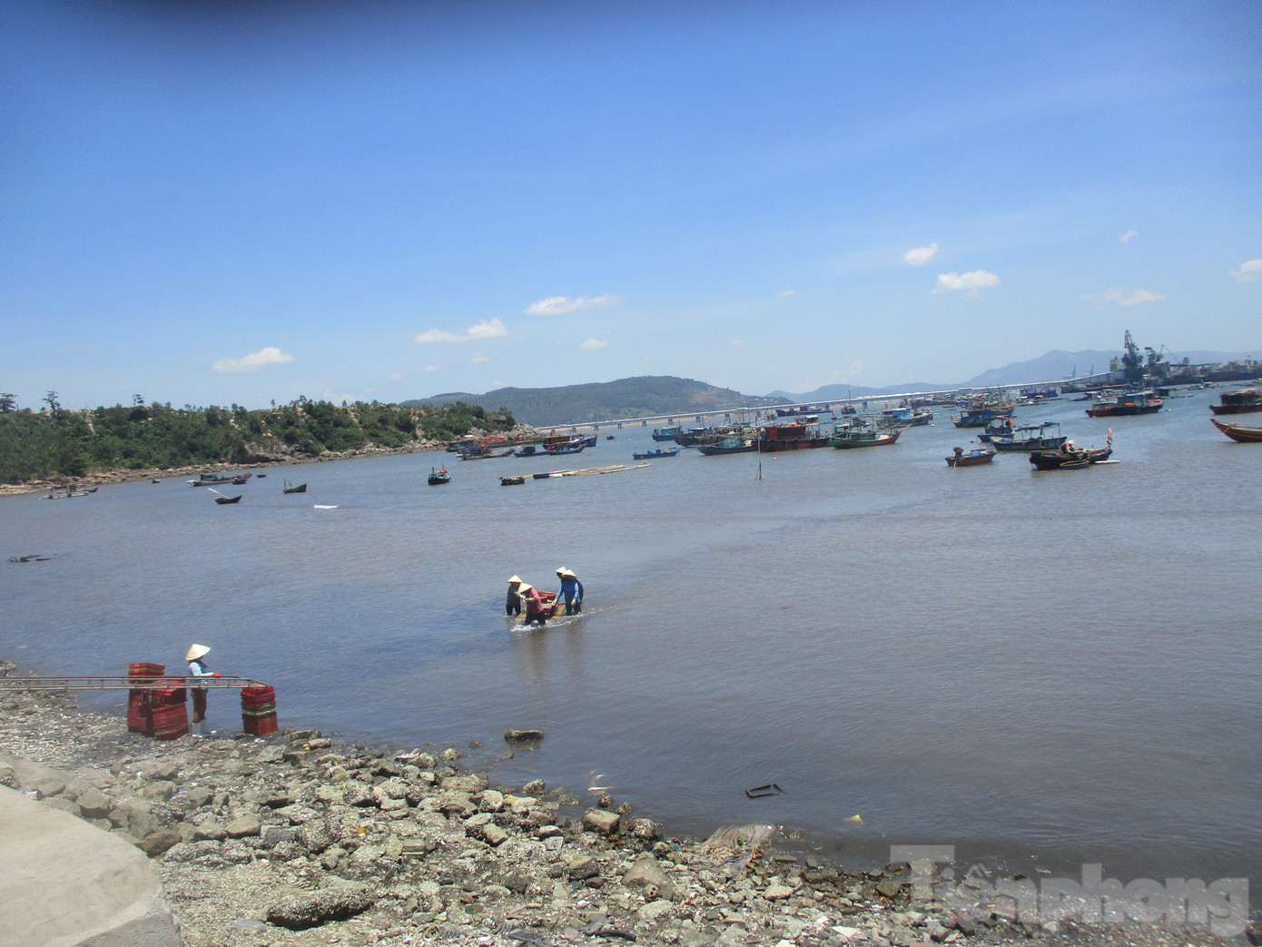 Người dân xã đảo Nghi Sơn vận chuyển hải sản lên bờ.