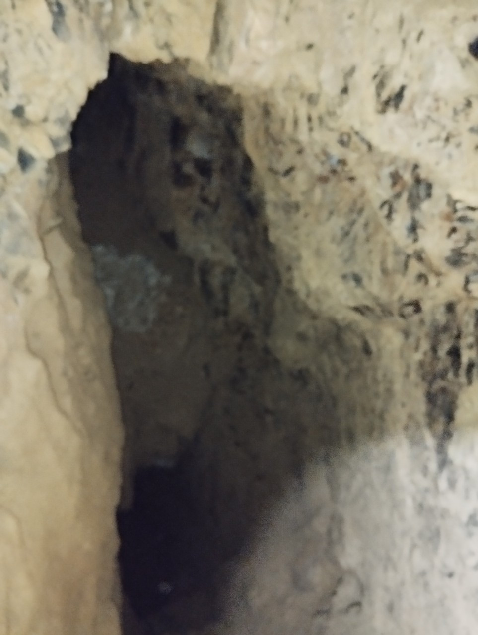 Phía sâu bên trong hầm đào đãi vàng. Phía sâu bên trong hầm đào đãi vàng.