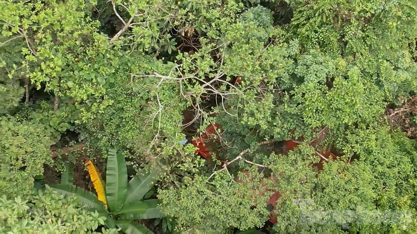 Vị trí các đối tượng đào đãi vàng trái phép trong rừng đặc dụng Vị trí các đối tượng đào đãi vàng trái phép trong rừng đặc dụng