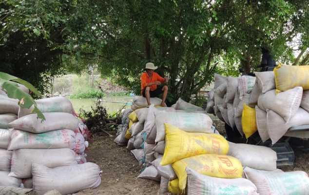 Điểm tập kết lúa sau khi thu hoạch của nông dân ĐBSCL. Điểm tập kết lúa sau khi thu hoạch của nông dân ĐBSCL.