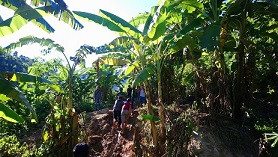 Vùng lũ Mường Lát cạn lương thực: Vượt sông, băng rừng cứu trợ ảnh 4