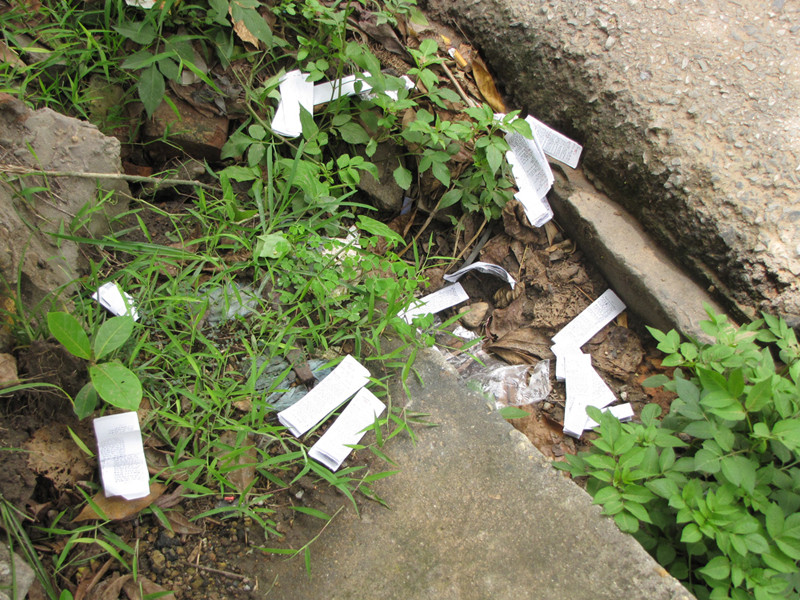 Bên trong vườn nằm trong khu vực thi, dưới các cửa sổ phòng thi, phao thi vứt la liệt. Ảnh: Trường Phong