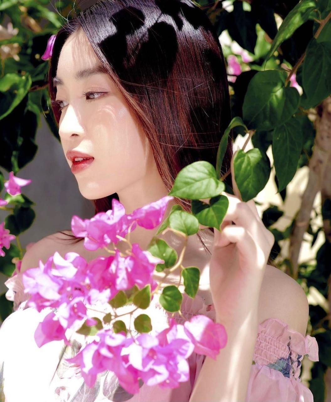 Hoa hậu Đỗ Mỹ Linh đẹp tựa nàng thơ bên hoa giấy trong ngày cuối tuần nắng rực rỡ.
