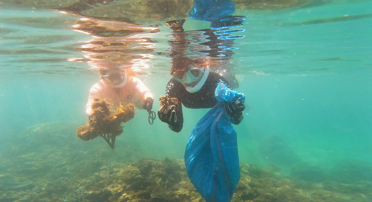 Các thành viên nhóm kiểm tra sự phát triển của san hô dưới đáy biển Các thành viên nhóm kiểm tra sự phát triển của san hô dưới đáy biển