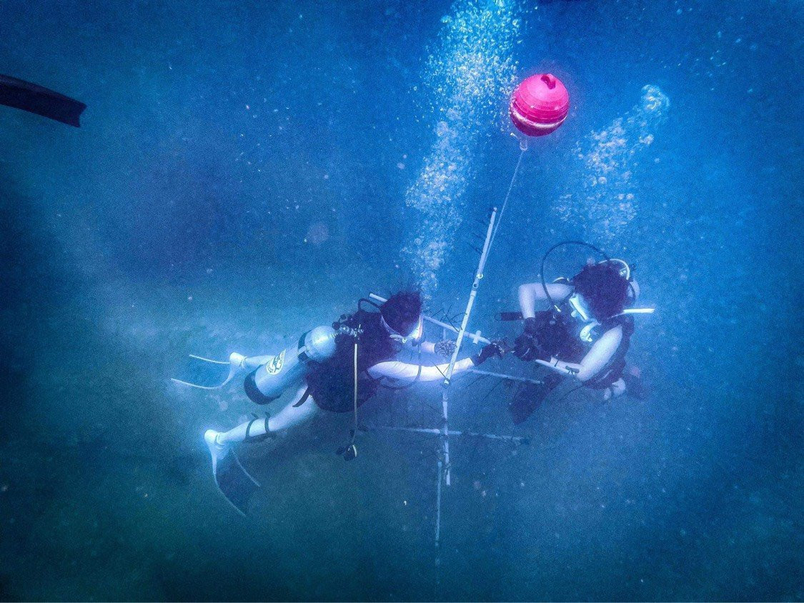 Các thành viên nhóm thực hiện cứu hộ san hô ở biển Vĩnh Hy Các thành viên nhóm thực hiện cứu hộ san hô ở biển Vĩnh Hy