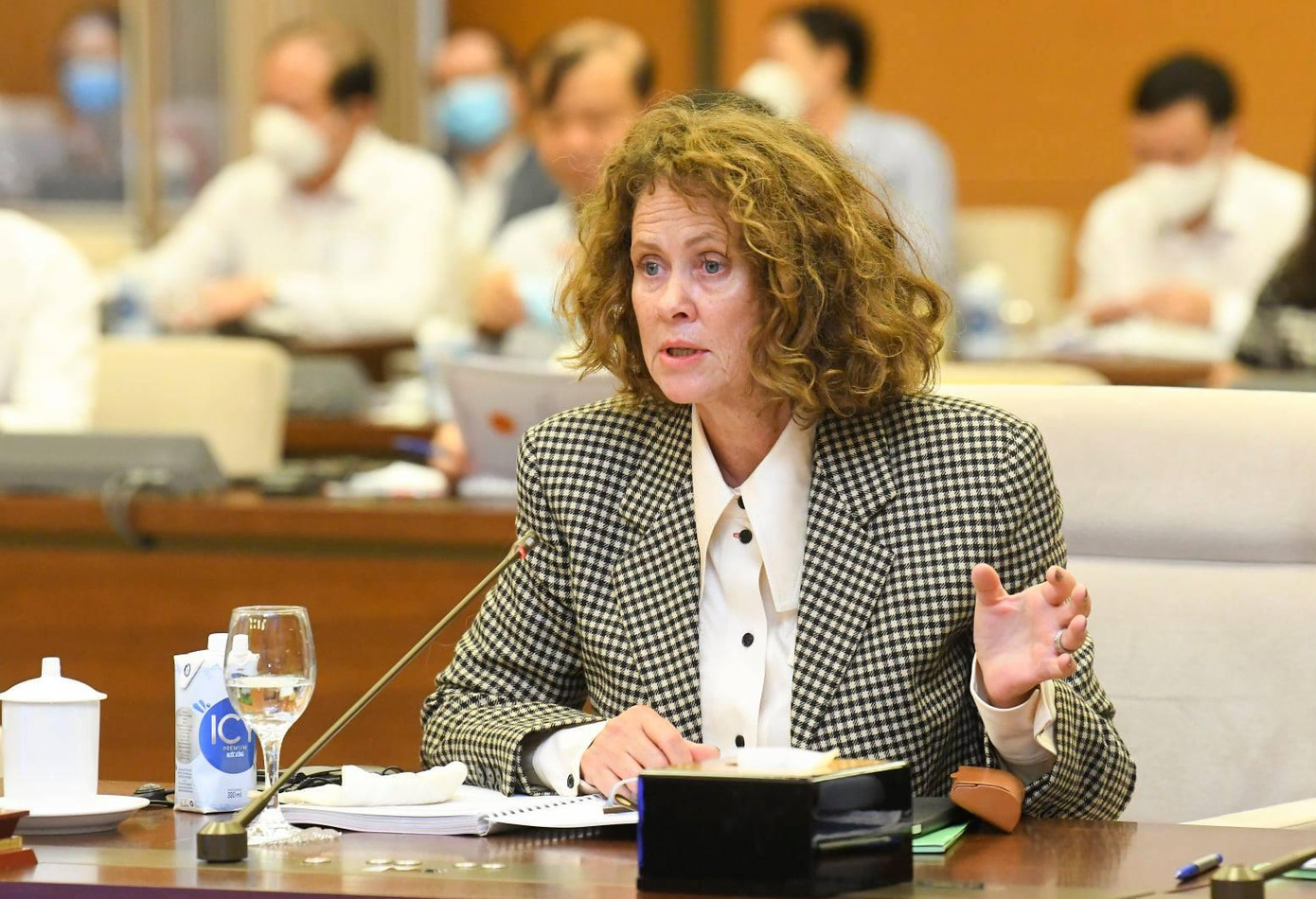 Giới chuyên gia phát biểu tại buổi tọa đàm do Chủ tịch Quốc hội chủ trì ngày 27/9