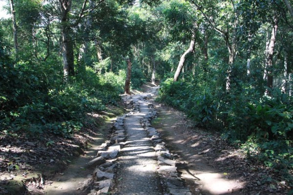 Con đường dẫn vào nơi làm việc của Đại tướng Võ Nguyên Giáp