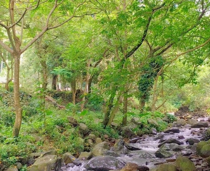 Lương Sơn có cảnh quan đẹp, có nhiều tiềm năng trở thành đô thị sinh thái. Lương Sơn có cảnh quan đẹp, có nhiều tiềm năng trở thành đô thị sinh thái.