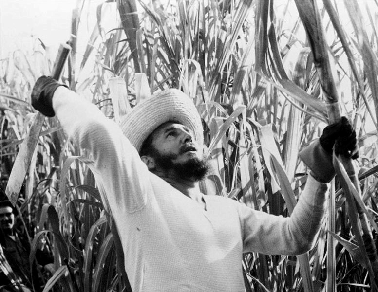 Cựu Chủ tịch Cuba Fidel Castro qua đời ở tuổi 90 ảnh 1