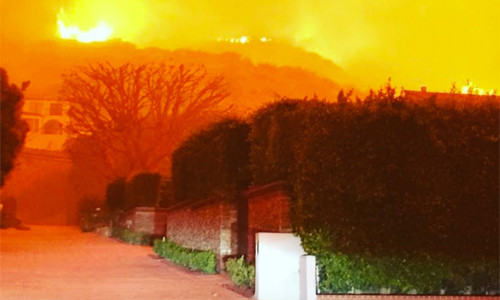 Loạt sao Hollywood sợ hãi, phải sơ tán vì cháy rừng ảnh 1