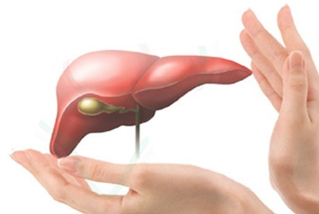 Nhìn vị trí tóc bạc sớm đoán nhiều bệnh nan y ảnh 1