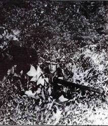 Thiết bị tăng độ phân giải ánh sáng mờ AN/TVS-2 gắn trên súng máy 12,7mm