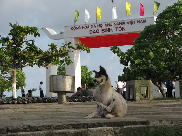Vừa canh gác, vừa... gãi đầu