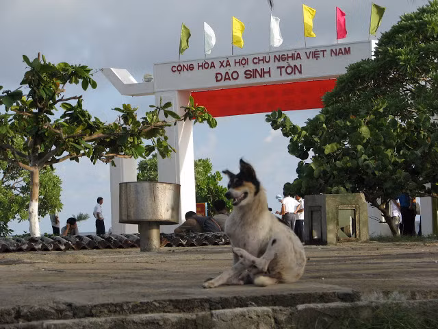 Vừa canh gác, vừa... gãi đầu