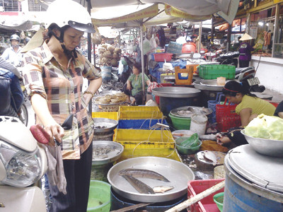 Đắn đo, tính toán mỗi lần ra chợ. Ảnh: Vy Khánh. Đắn đo, tính toán mỗi lần ra chợ Ảnh: Vy Khánh