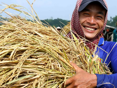 Được Mùa. Được Mùa