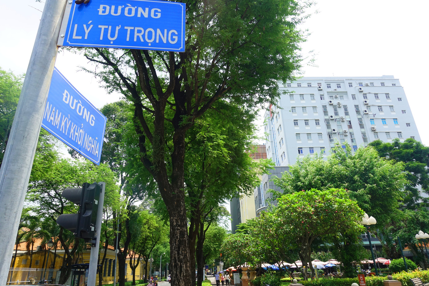 Công viên Bách Tùng Diệp (hay còn được gọi là công viên Lý Tự Trọng) có diện tích khoảng 5.000 m2 tại góc ngã tư đường Lý Tự Trọng và Nam Kỳ Khởi Nghĩa, kéo dài đến ngã tư Lý Tự Trọng - Pasteur, đối diện với Bảo tàng TPHCM.