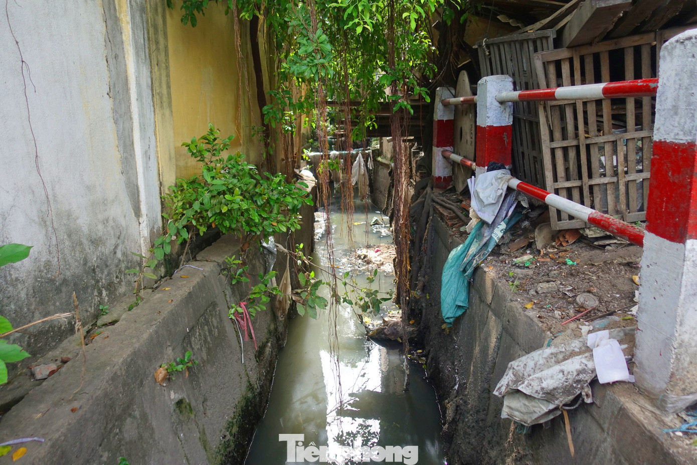 Theo người dân, nguyên nhân gây ngập úng là do nơi đây là vùng trũng thấp, mỗi khi có mưa lớn, nước từ các nơi đổ về. Bên cạnh đó, hệ thống thoát nước nhỏ, hẹp không đáp ứng kịp nhu cầu thoát nước nên đã gây ra tình trạng ngập úng.