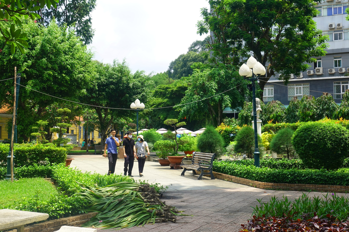 Theo chủ tịch UBND quận 1 Lê Đức Thanh, trong thời gian tới đây, công viên Bách Tùng Diệp sẽ được tổ chức thành một điểm chuyên tổ chức các sự kiện, hoạt động lớn của thành phố cùng các triển lãm chuyên đề.