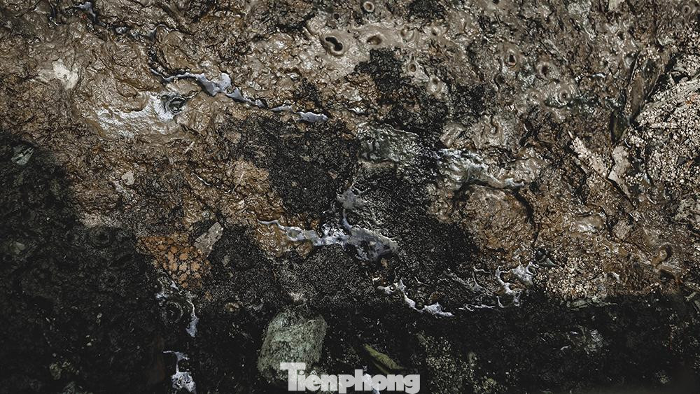 Nhìn xuống sông chỉ thấy những mảng bám đen kịt được kết lại bởi cặn giấy