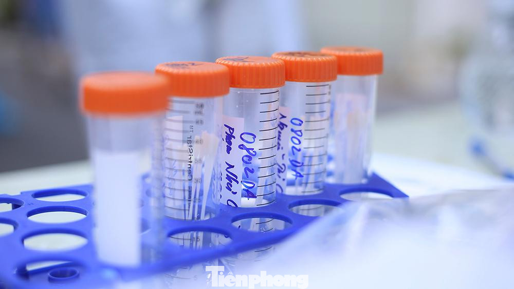 Các mẫu sau đó sẽ được đưa về Bệnh viện đa khoa Đông Anh tiến hành xét nghiệm. Kết quả xét nghiệm dự kiến sẽ có trong khoảng thời gian sớm nhất.