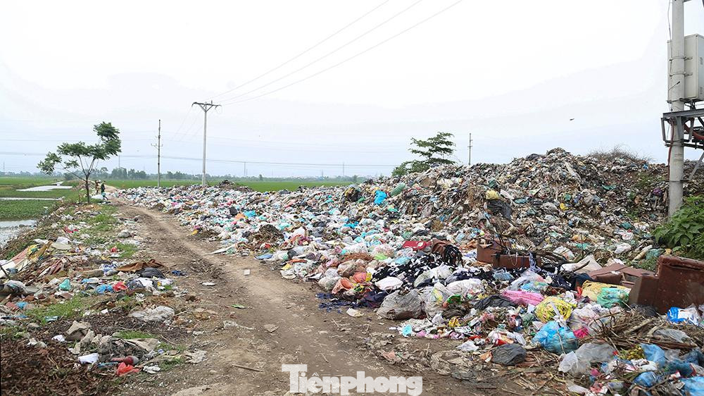 Rác thải đổ trực tiếp ra đường gây ảnh hưởng tới sản xuất nông nghiệp, ô nhiễm môi trường xung quanh.