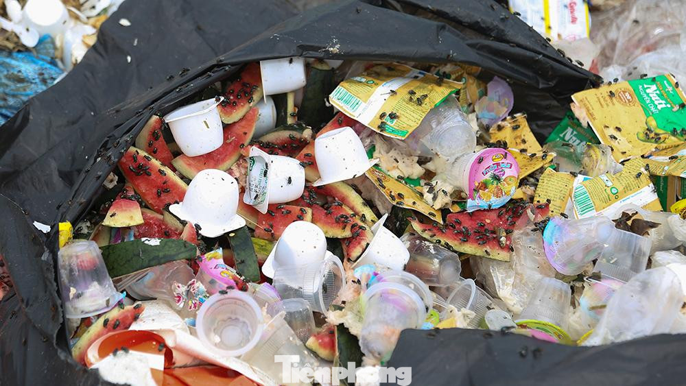 Bãi rác ngập ruồi, nhặng.