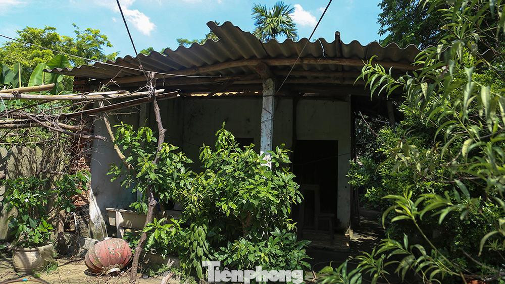 Căn nhà xuống cấp, chỉ cần một cơn mưa to, mái có thể bay bất cứ lúc của người dân nơi đây.