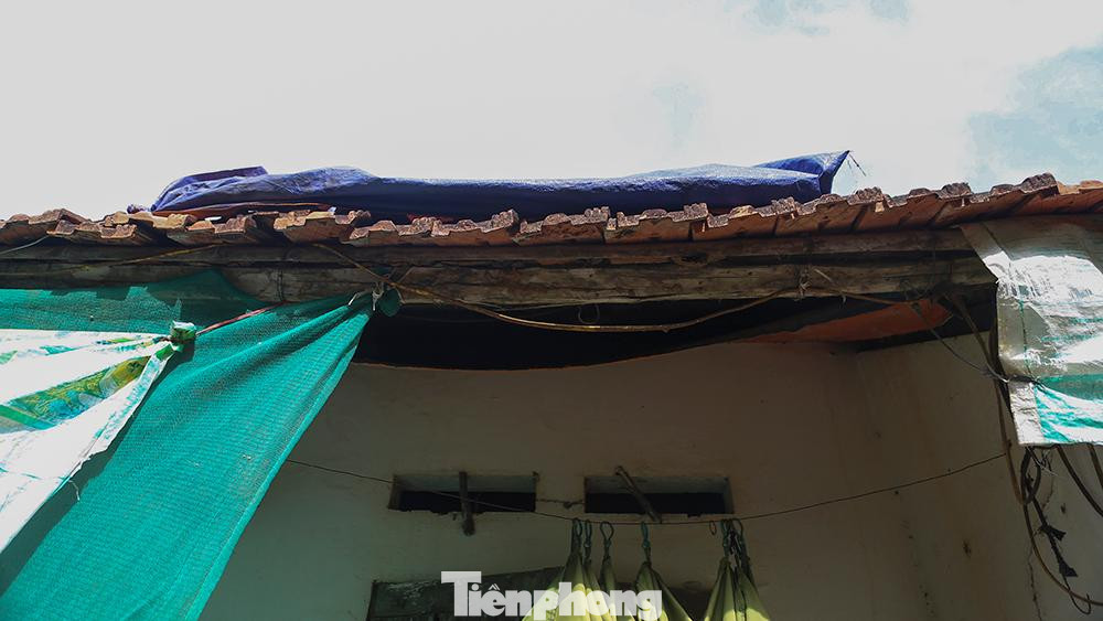 Người dân che tạm bạt lên mái nhà cho đỡ dột đổ
