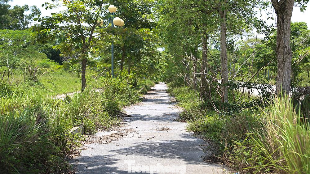 Đường nội bộ được đầu tư quy mô và rộng vài chục mét với nhiều làn xe chạy. Nhiều tuyến, hai bên đường đã làm sẵn lối đi trên vỉa hè, lát bằng gạch trông khá mới. Tuy nhiên, sau nhiều năm, phần lớn những con đường này đã được cỏ cây phủ kín.