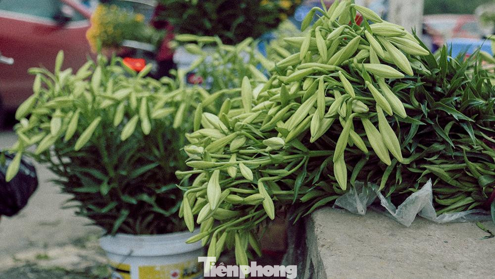 Từ ngõ chợ hay những con phố đâu đâu cũng thấy tiếng mời gọi của loa kèn Từ ngõ chợ hay những con phố đâu đâu cũng thấy tiếng mời gọi của loa kèn